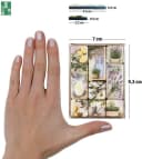 Nostalgic-Art Magnetset 9tlg. Provence Home & Country Bild 4