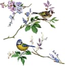 KOMAR Fensterbild Wedding Birds Bunt Selbsthaftend 31x31 cm Bild 4