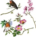 KOMAR Fensterbild Spring Fever Bunt Selbsthaftend 31x31 cm Bild 3