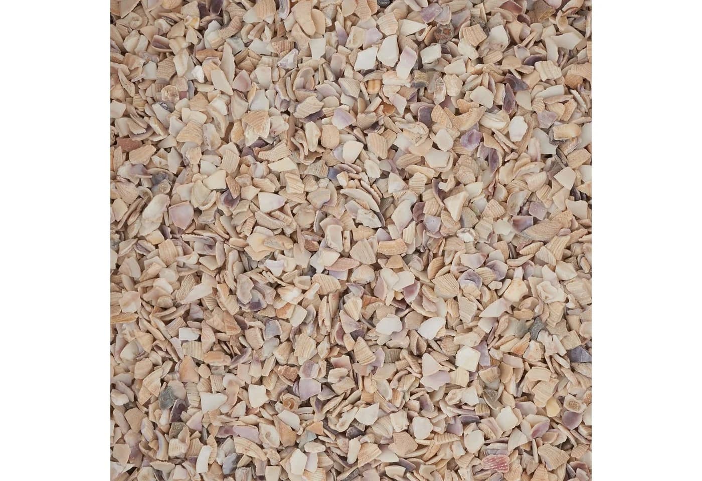 Eurosand Streudeko Muschelgranulat 2-3mm 1kg Weiß