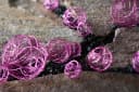 Eurosand Draht-Bälle Rosa 30mm 10 Stück Dekokugeln Bild 3