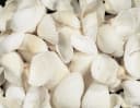 Arca Arca Dekoobjekt Muscheln Natur Creme-Weiß im Netz Bild 1