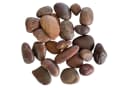 Eurosand Flusskiesel Kieselsteine 20-60mm 1kg Bild 1