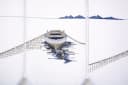 Clever-Kauf-24 Scheibengardine Fischerboot bestickt blau transparent Bild 3
