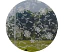 EXPERIENCE Scheibengardine Florentiner Optik Transparent Tunnelzug Bild 5