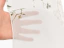 Clever-Kauf-24 Scheibengardine 3-teilig Grün/Weiß Transparent Blätterranken Bild 5