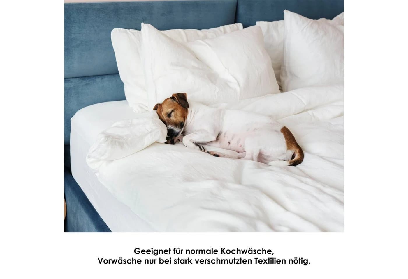 Matratzenauflage Molton Spann, Allergiker geeignet, Baumwolle, Setex - Bild 5