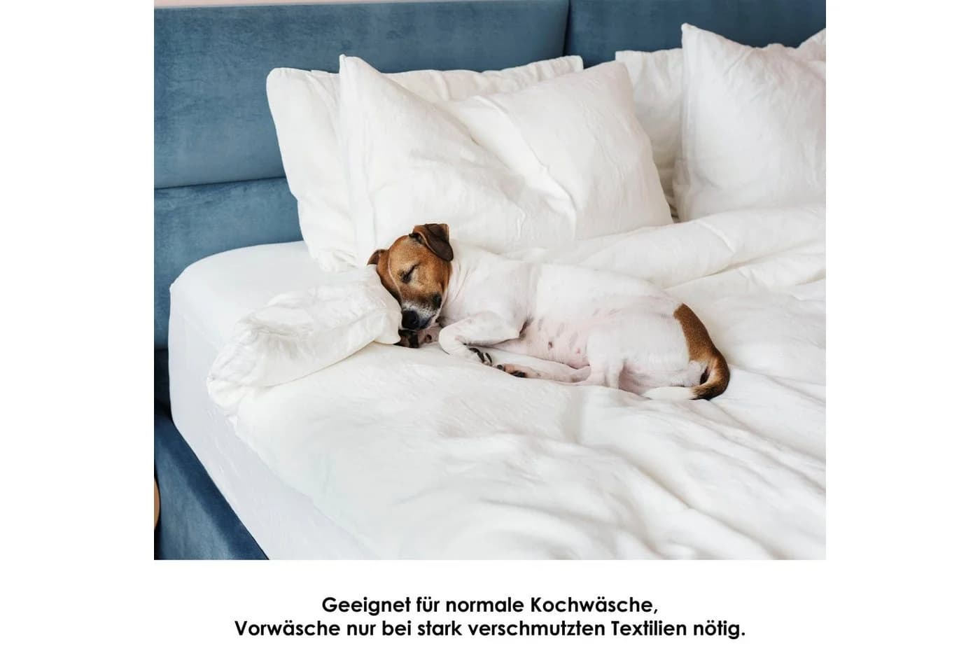 SETEX Matratzenauflage Weiß Wasserdicht Baumwolle - Bild 5