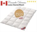 Canada Daunendecke Dreams Luxus Winter 8cm Hochsteg 90% Daunen Bild 2