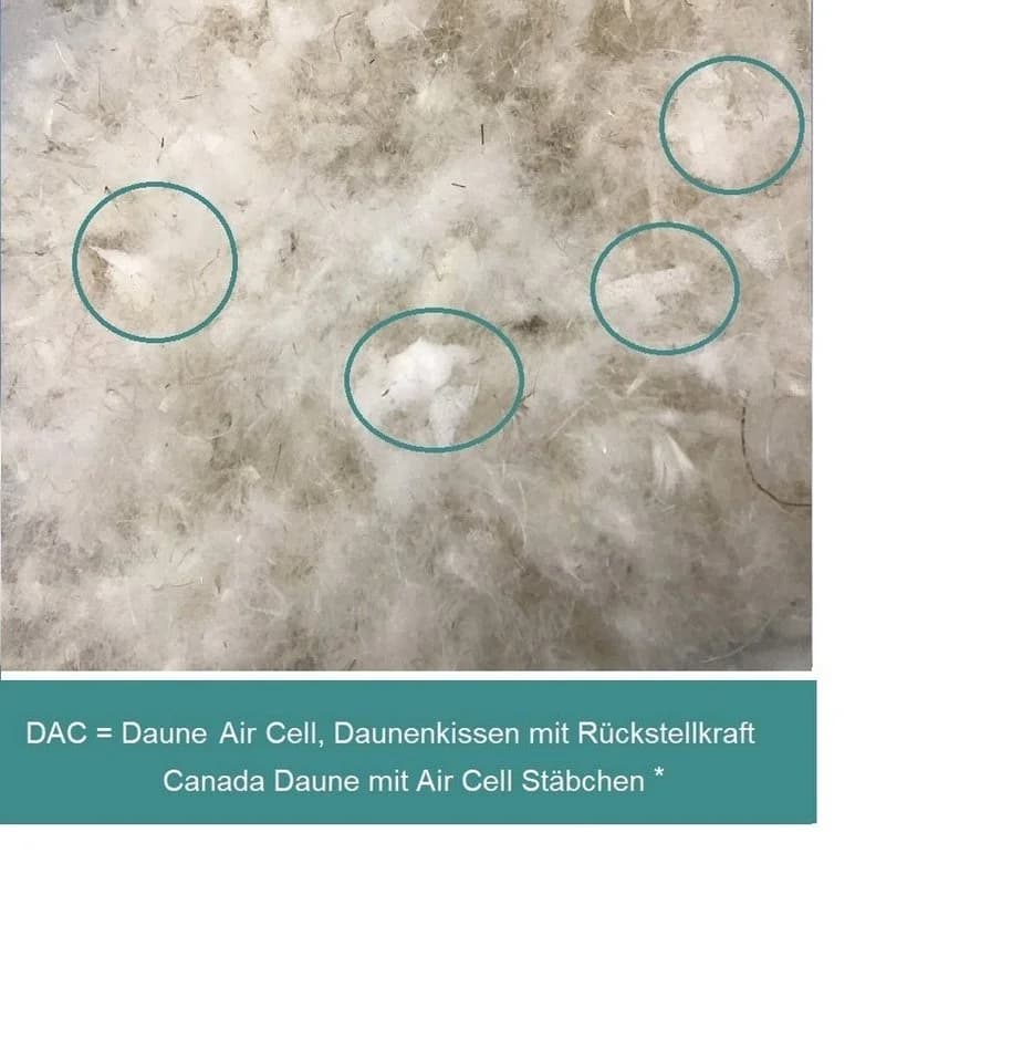 Canada Daunenkissen DAC-Plus mit Daune und Air-O-Cell Stäbchen - Bild 3