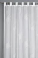 Sehlbach Gardine Schal Voile Weiß mit Flockprint Pusteblume Bild 1