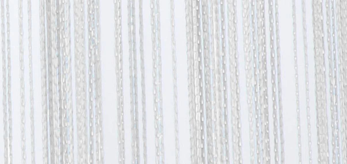 Gardinenbox Fadenvorhang 2 Stk Weiß Transparent Polyester