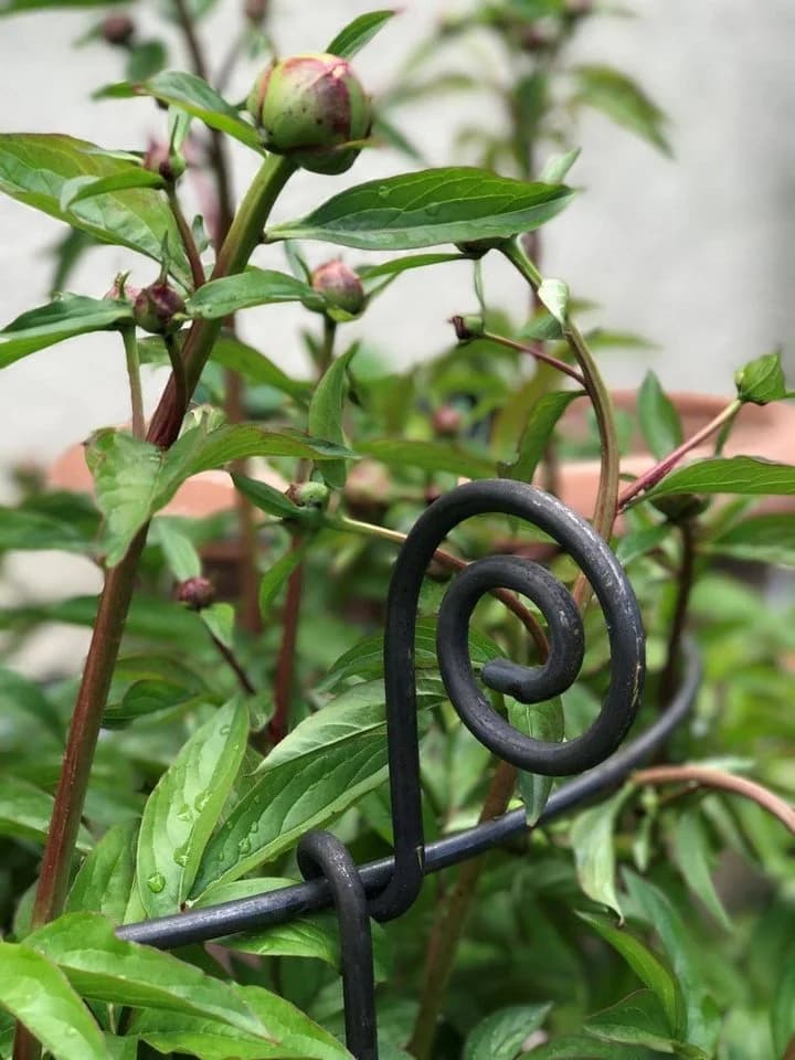Hirsch Terracotta Staudenhalter Rund Rankhilfe Pflanzenstütze Vollmetall