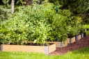 BigDean Kräuterbeet 3x Hochbeet Palettenrahmen 80x60x19,5cm Gartenbeet Aufsatzrahmen Bild 5