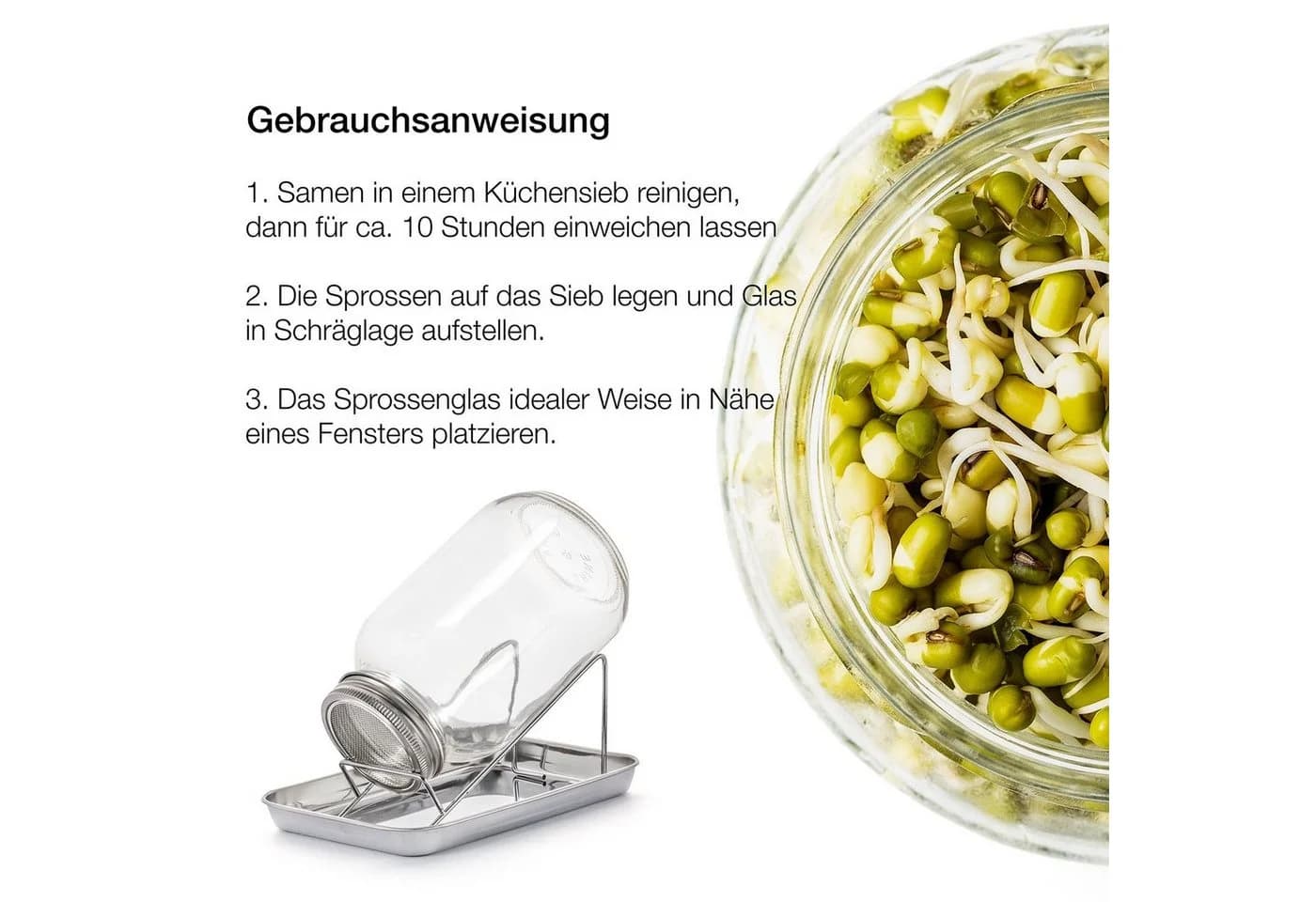 BigDean Sprossenglas 1000ml mit Edelstahl-Deckel und Ständer - Bild 5