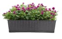 BigDean Blumenkasten 3er Set mit Untersetzer Rattan-Optik Bild 1