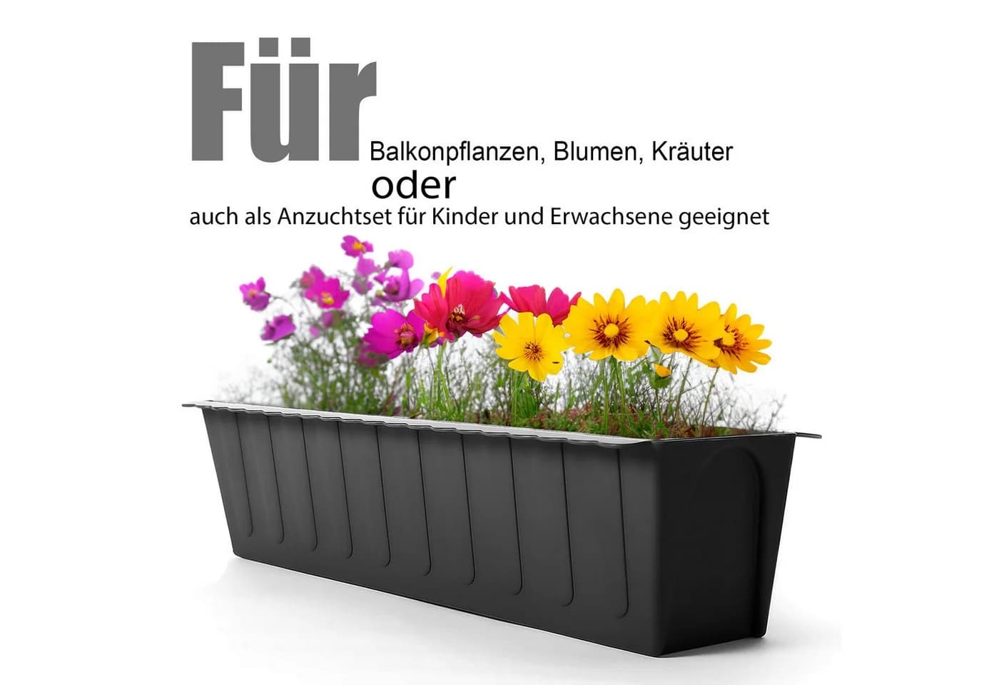 BigDean Paletten-Einsatzkästen Set 8-tlg. Anthrazit UV-stabil - Bild 4