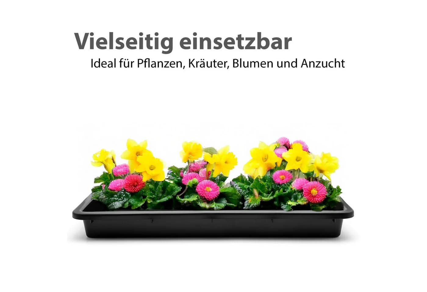 BigDean Pflanzschale 2 Stück 59x39x6 cm Kunststoff - Bild 4