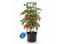 BigDean Tomatentopf XL mit Rankhilfe & Wasserspeicher Bild 2
