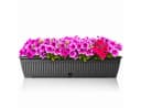 BigDean Blumenkasten 80cm Anthrazit mit Wasserspeicher Bild 2
