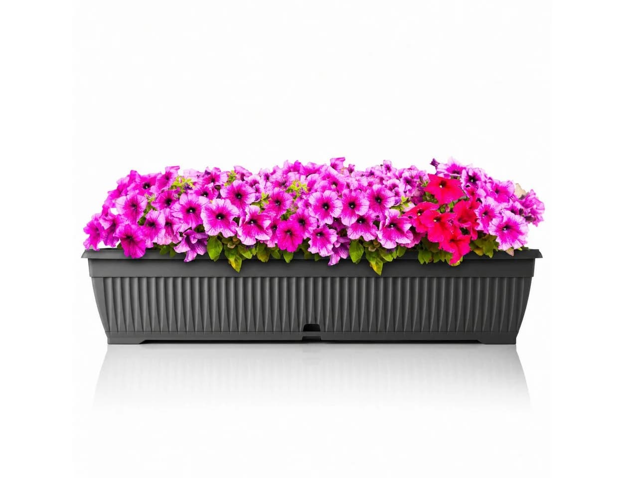 BigDean Blumenkasten 80cm Anthrazit mit Wasserspeicher - Bild 2