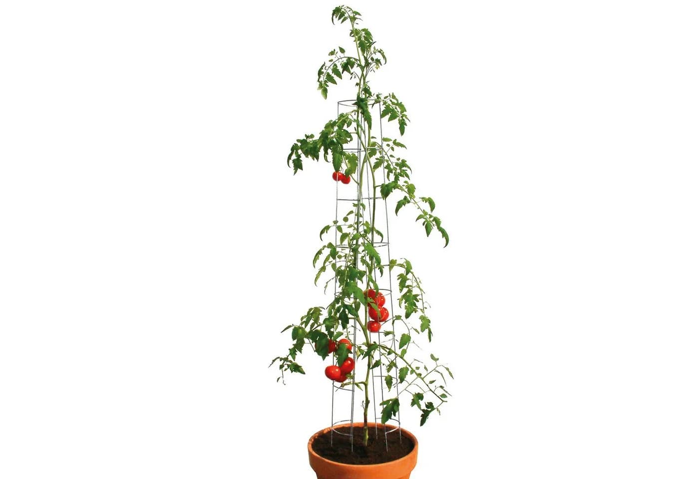 Bellissa Tomatenturm Rankhilfe 120 cm Verzinkt Silber - Bild 4