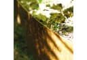 Bellissa Pflanzschale COLLINA Cortenstahl Bild 5