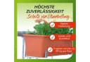 Bellissa Blumenkastenhalter 2er Set verzinkt silber Bild 4