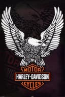 Papermoon Poster Harley Davidson Logo Schwarz Weiß Orange Bild 2