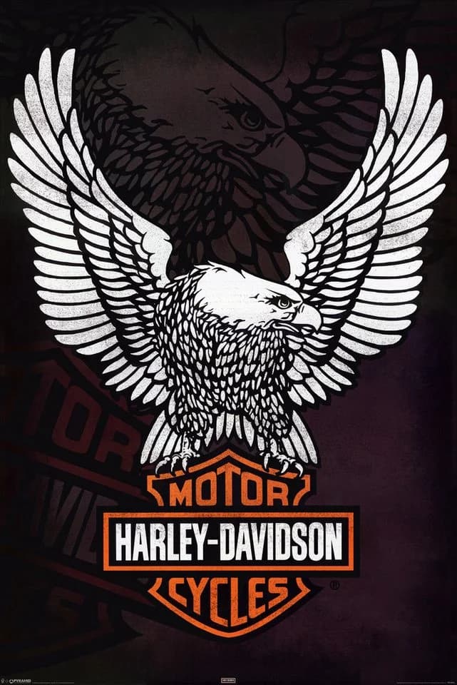 Papermoon Poster Harley Davidson Logo Schwarz Weiß Orange - Bild 2