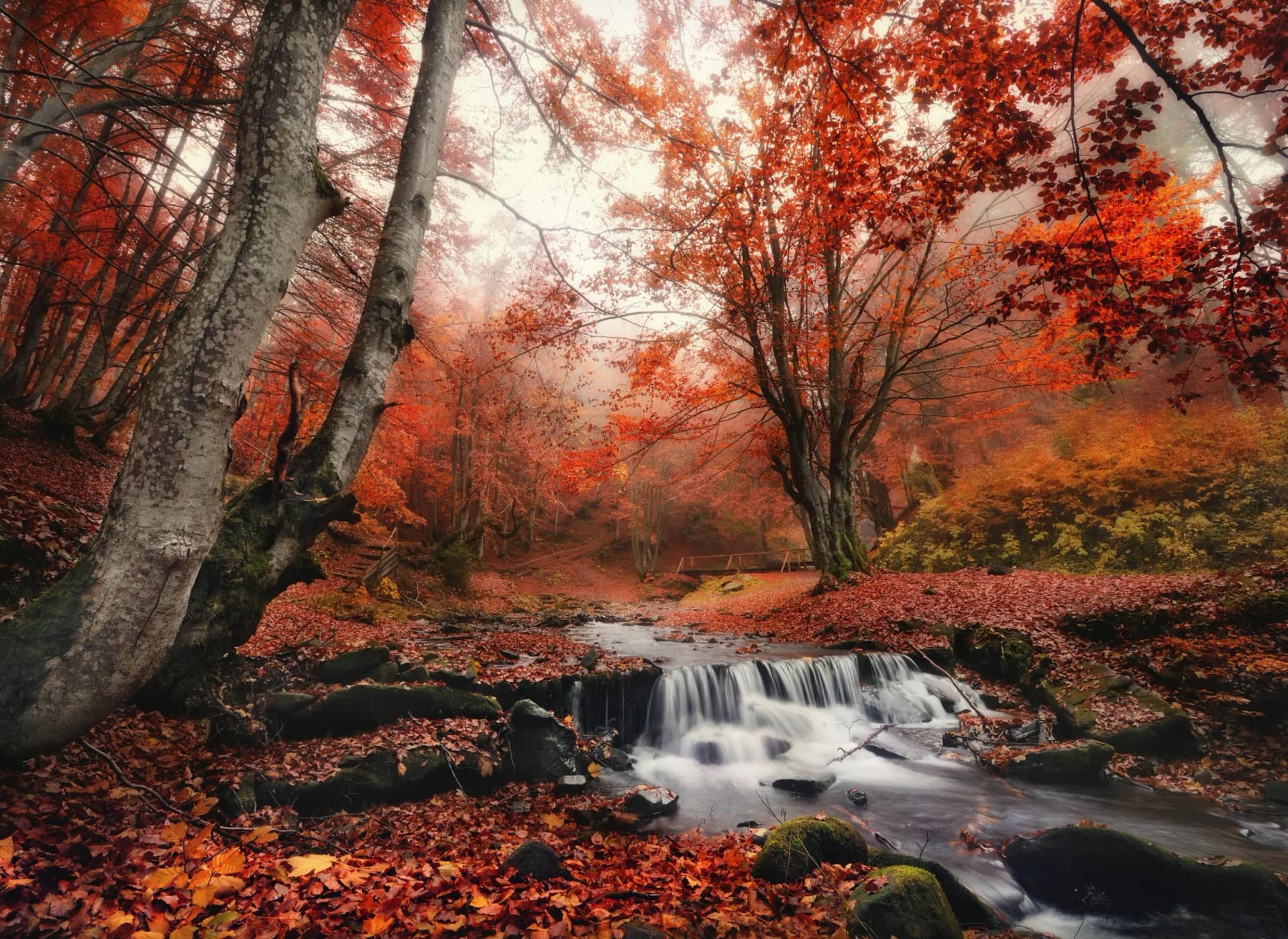 Fototapete PAPERMOON Foggy Forest Creek bunt Vlies