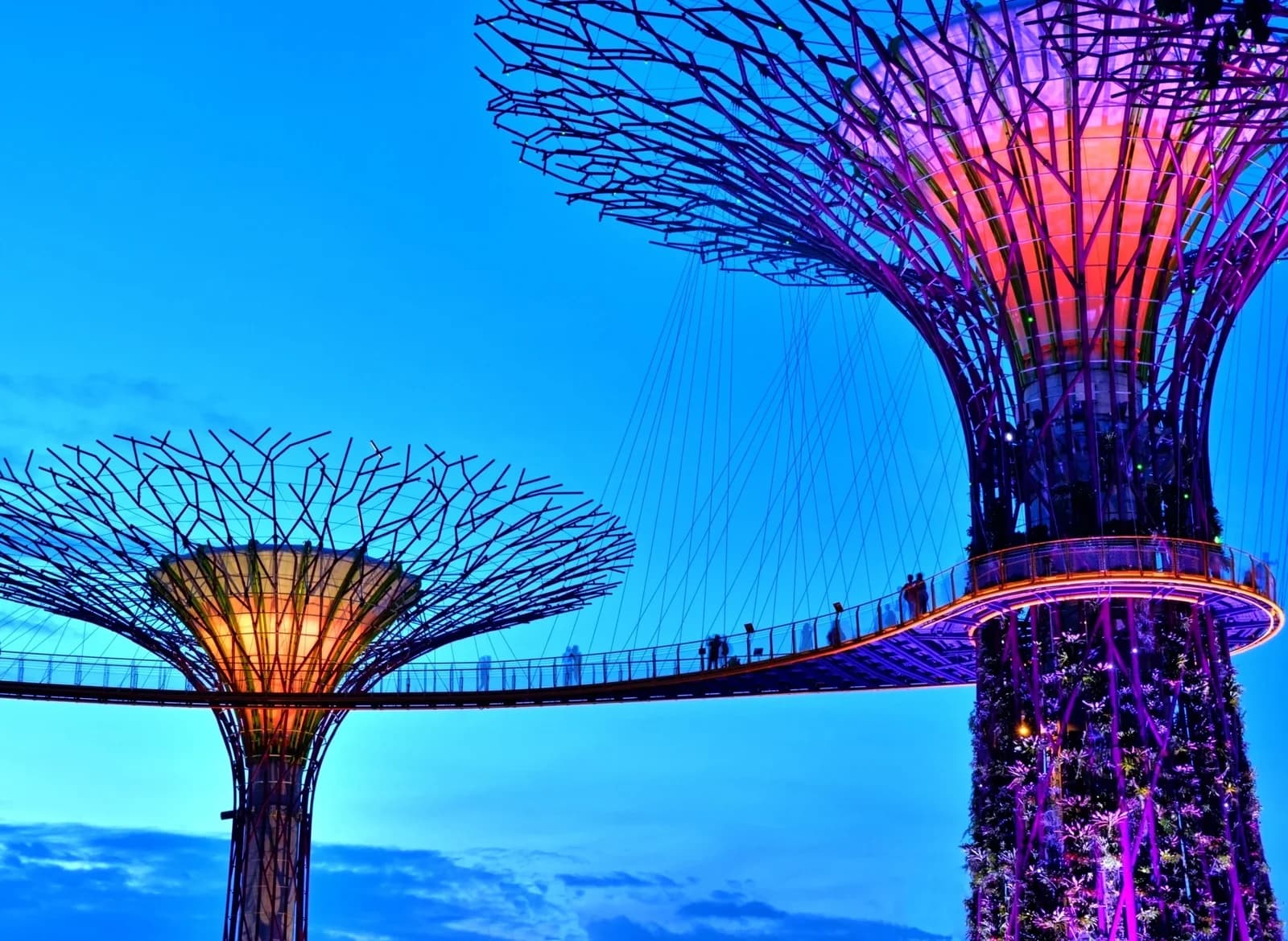 PAPERMOON Fototapete Singapore Bay Supertrees bunt Vlies