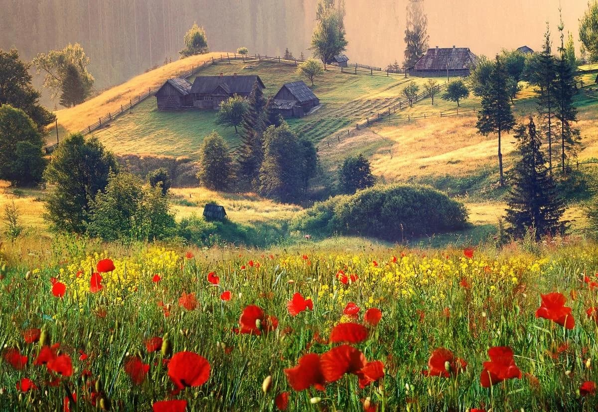 Fototapete PAPERMOON Neblige Sommerlandschaft Vlies 5x2,8m