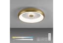JUST LIGHT LED Deckenleuchte VERTIGO Dimmbar Messing Matt Bild 5
