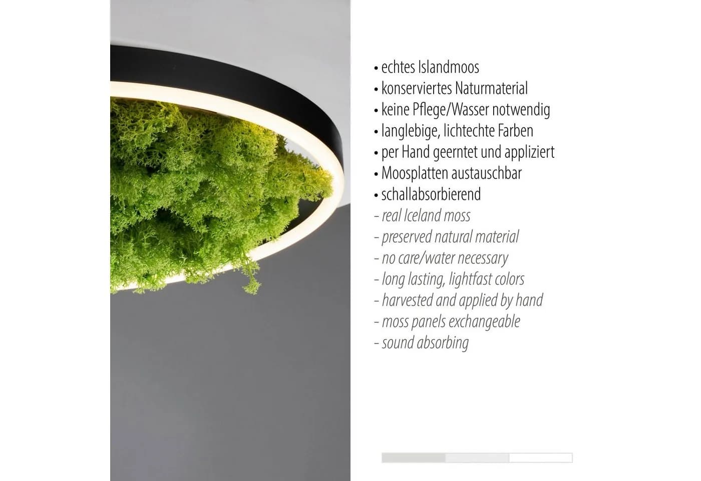 JUST LIGHT Deckenleuchte GREEN RITU LED Moos Schwarz Grün - Bild 5