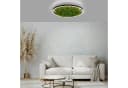 JUST LIGHT Deckenleuchte GREEN RITU Moosgrün LED mit Dimmer Bild 1