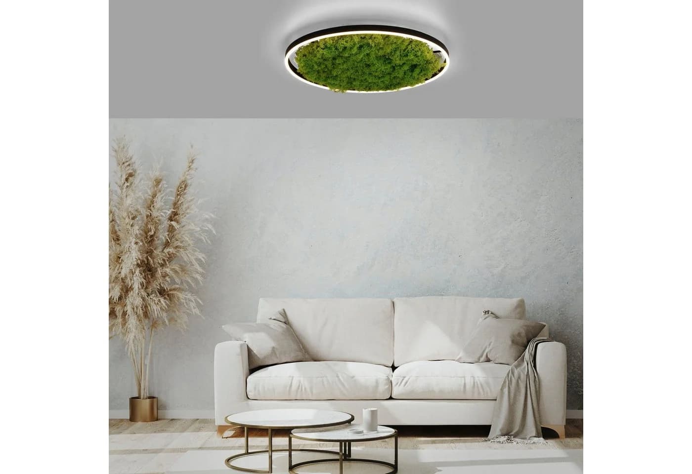 JUST LIGHT Deckenleuchte GREEN RITU Moosgrün LED mit Dimmer