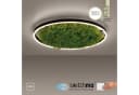 JUST LIGHT Deckenleuchte GREEN RITU Moosgrün LED mit Dimmer Bild 2