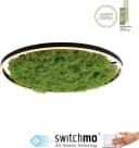 JUST LIGHT Deckenleuchte GREEN RITU Moosgrün LED mit Dimmer Bild 3