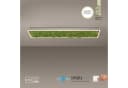JUST LIGHT GREEN KNUT Deckenleuchte Moos Modern Dimmbar Bild 1