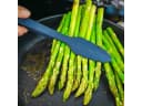 Kochblume Grillzange Gourmetzange Lila Silikon mit Edelstahlkern Bild 5