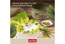 Zenker Springform 18 cm mit hohem Rand Antihaftbeschichtung Sparkling Green Bild 5
