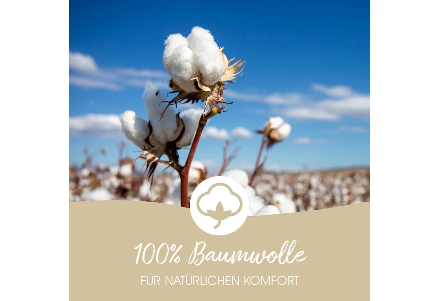 Traumschloss Handtuch Frottier-Line 100% Baumwolle Braun Flauschig Weich - Bild 5
