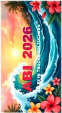 Strandtuch Egeria ABI 2026 Schwarz Frottiervelours 100% Baumwolle Bild 2