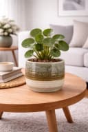 finehomegarden Blumentopf Stone ECOLO Grün/Natur Steinoptik Bild 4