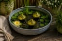 finehomegarden Teichfigur Glas-Schwimmlinse grün 3er Set Bild 1