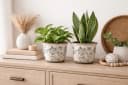 finehomegarden Blumentopf Übertopf Mush Keramik Ø7,5cm+Ø11cm Rustikales Antikes Topf Dekor Bild 4