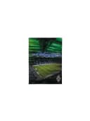 Wohndecke Borussia Mönchengladbach Grün Bild 1