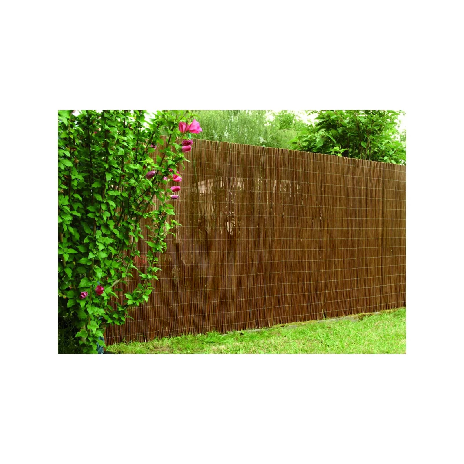 Floraworld Sichtschutz Weide 300x90 cm