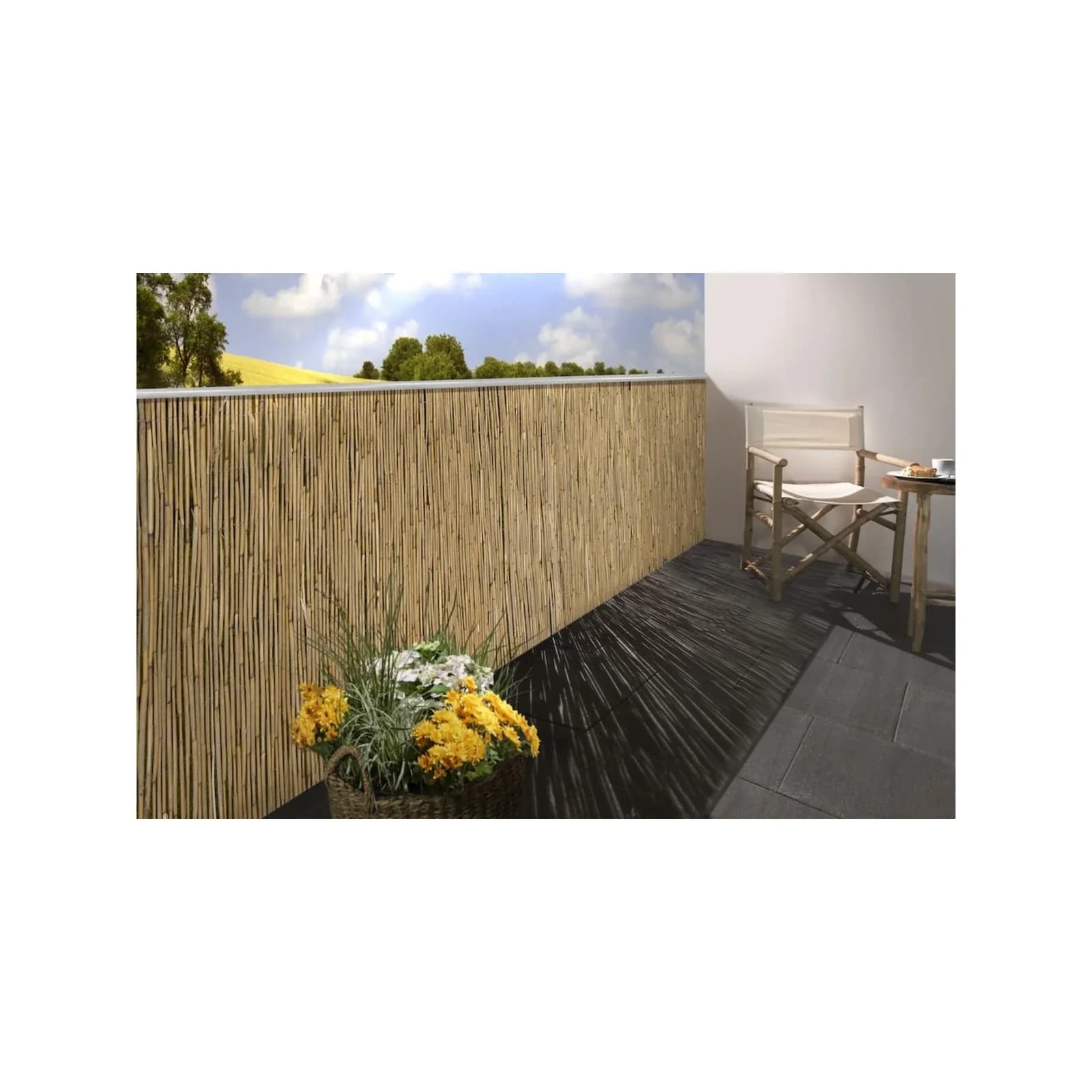 Floraworld Schilfrohrmatte 120x600 cm Sichtschutz